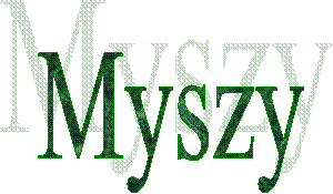 Myszy