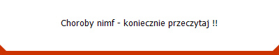 Choroby nimf - koniecznie przeczytaj !!